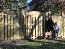 “Invisible Fence” vs. Chain Link vs. Wood Fence for Dogs or Cats